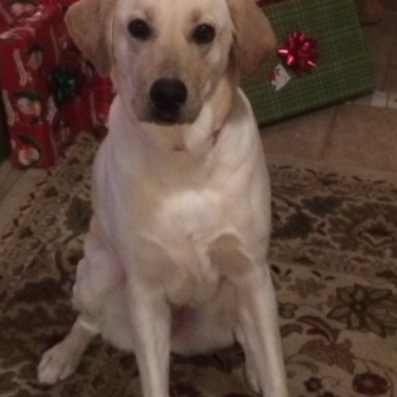 Meet your Posher, Valerie - Picture 6 of 6